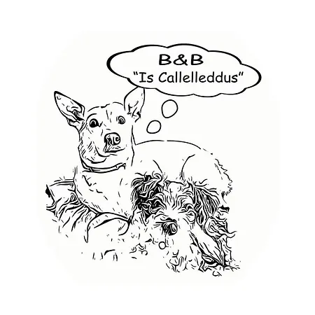 B&B Is Callelleddus *