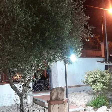 Is Callelleddus